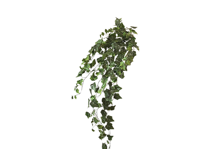 Colgante de hiedra argelina 110cm, dos colores