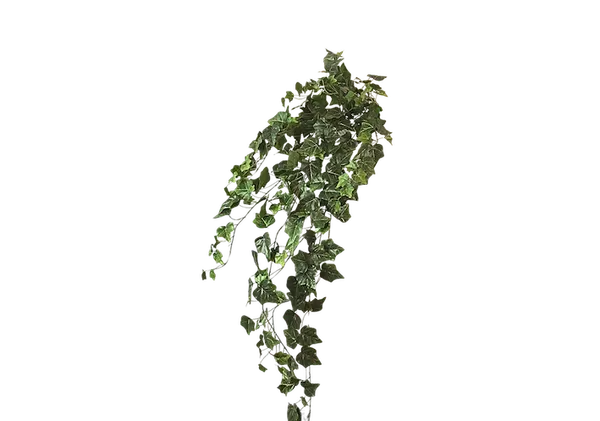 Colgante de hiedra argelina 110cm, dos colores