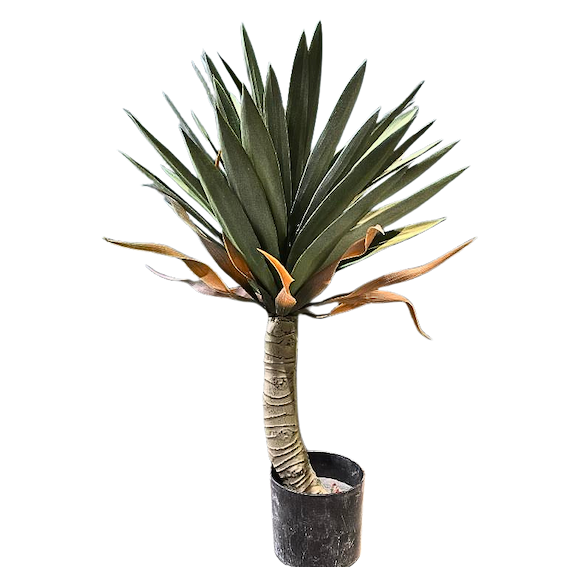 Yuca apariencia natural 70 cm