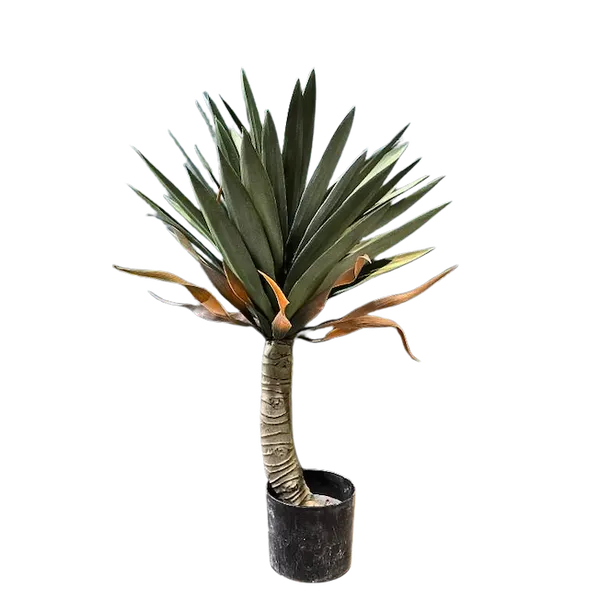 Yuca apariencia natural 70 cm