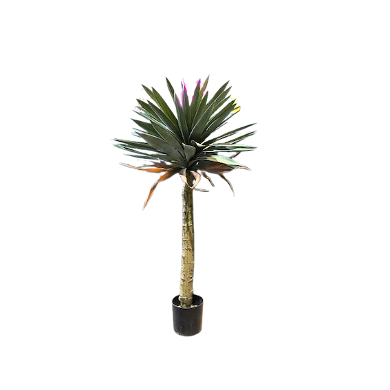 Yuca ceniza 110cm