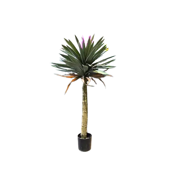 Yuca ceniza 110cm