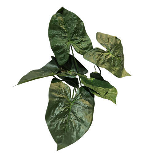 Planta elegante verde obscuro 73cm