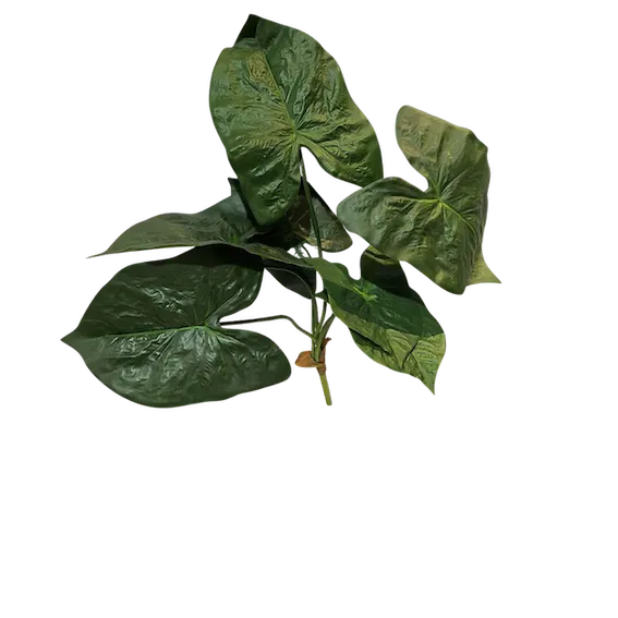 Planta elegante verde obscuro 73cm