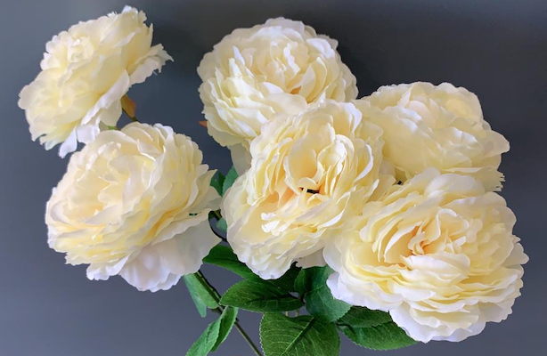 Ramo Tea Rose crema con 7 flores, 40cm largo