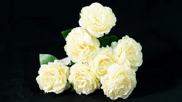 Ramo Tea Rose crema con 7 flores, 40cm largo