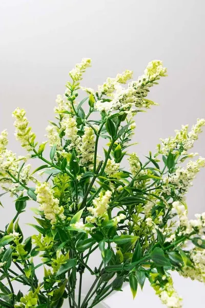 Ramo de Limonium 36cm, varios colores
