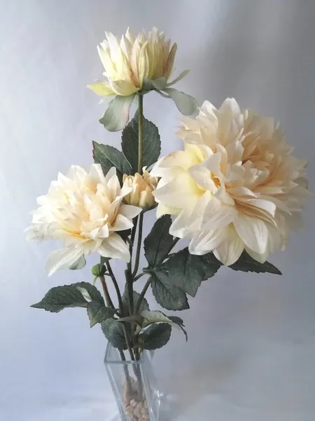 Flores de Dalia Xua 73cms largo, varios colores