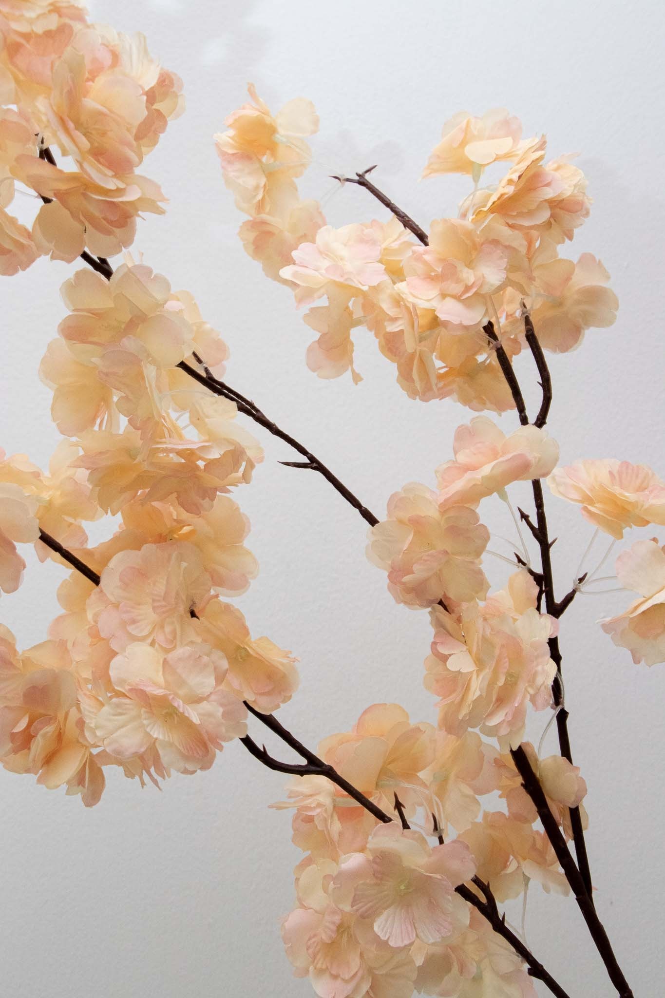 Vara blossom 100cm, champagne y blanca