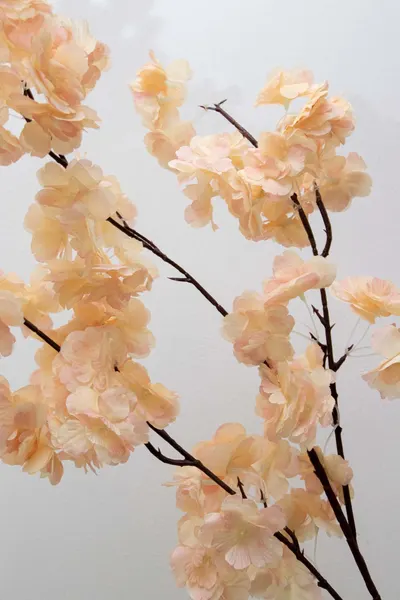 Vara blossom 100cm, champagne y blanca