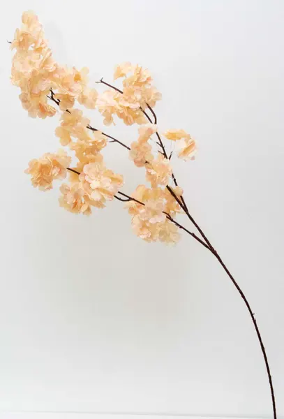 Vara blossom 100cm, champagne y blanca