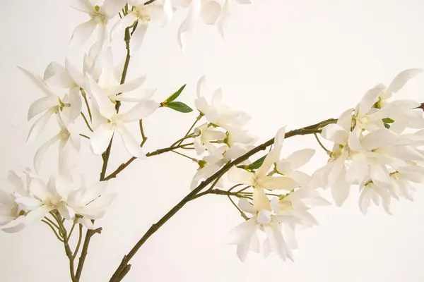 Vara de california lily 120cm  largo