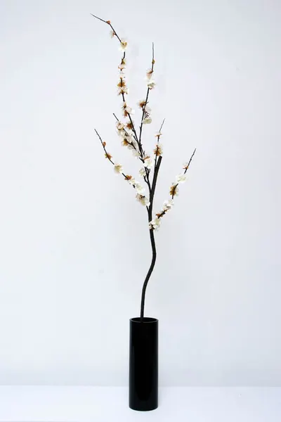 Vara de durazno deluxe con tronco 126cm largo