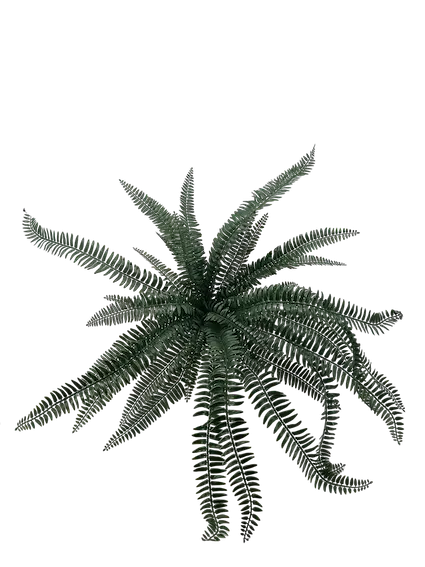 Helecho Cana 70cm para exterior con protección UV