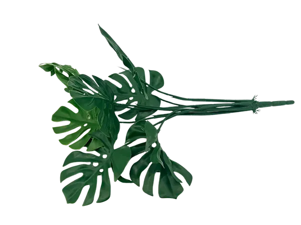 Planta Monstera 56cm para exterior con protección UV