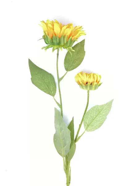 Vara de girasol Mirasol 67cm largo
