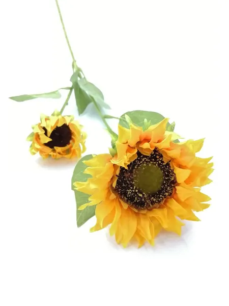 Vara de girasol Mirasol 67cm largo