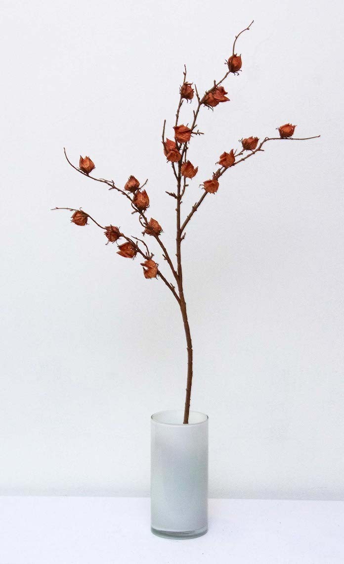 Vara de hibiscus 82cm, dos colores