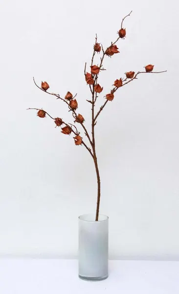 Vara de hibiscus 82cm, dos colores