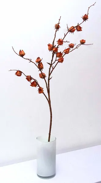 Vara de hibiscus 82cm, dos colores
