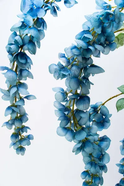Vara de wisteria fely de 110cm de largo, varios colores