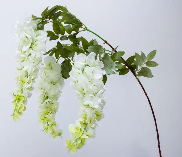 Vara de wisteria Intu blanca de 110cm de largo