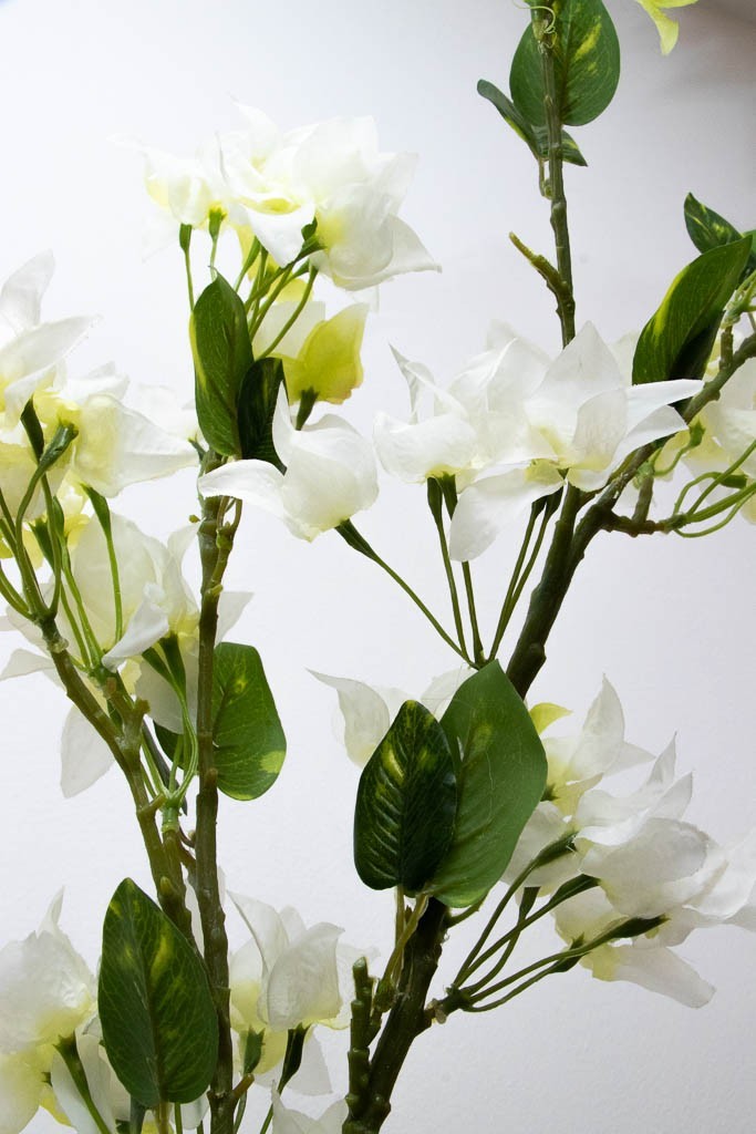 Vara de bugambilia blanca 135cm de largo