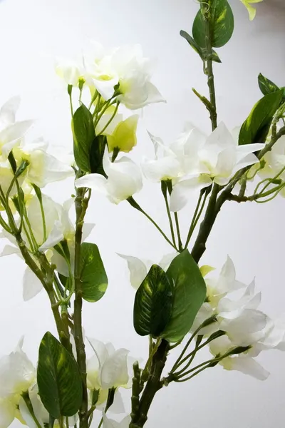 Vara de bugambilia blanca 135cm de largo