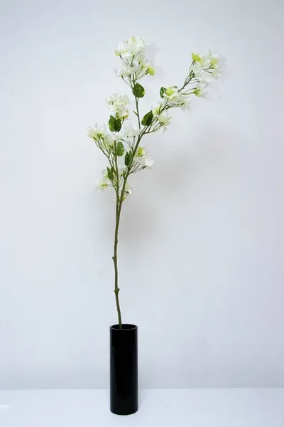 Vara de bugambilia blanca 135cm de largo