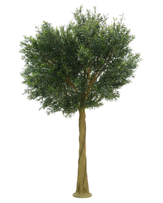 Árbol de olivo imperial 350cm