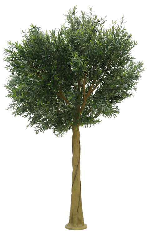 Árbol de olivo imperial 350cm
