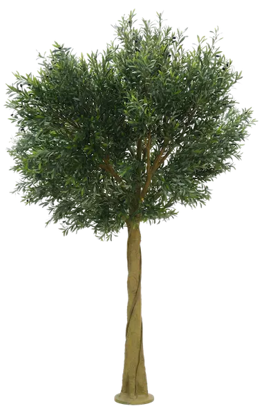 Árbol de olivo imperial 350cm