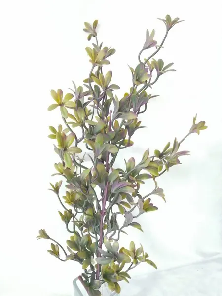 Campanilla 70cm largo