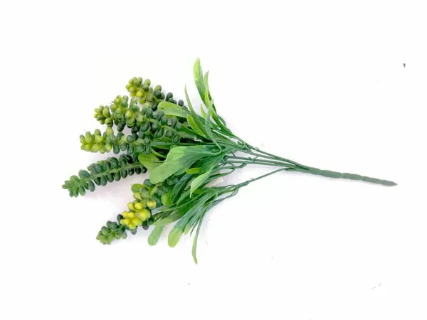 Vara de flor de albahacar 30cm