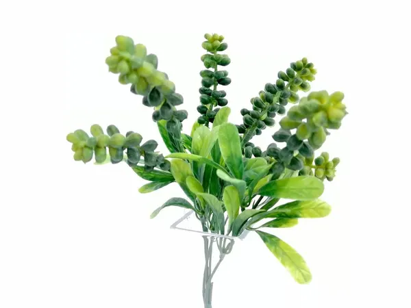 Vara de flor de albahacar 30cm