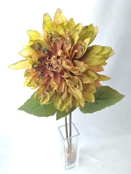 Vara de flor de Dalia 60cm largo, varios colores