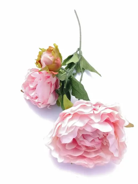Vara de flor de peonia 100cm de largo, varios colores