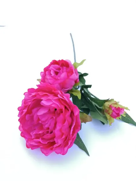 Vara de flor de peonia 100cm de largo, varios colores