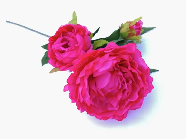 Vara de flor de peonia 100cm de largo, varios colores