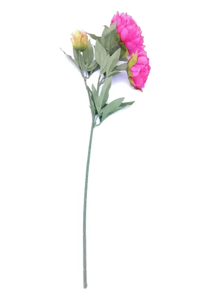 Vara de flor de peonia 100cm de largo, varios colores