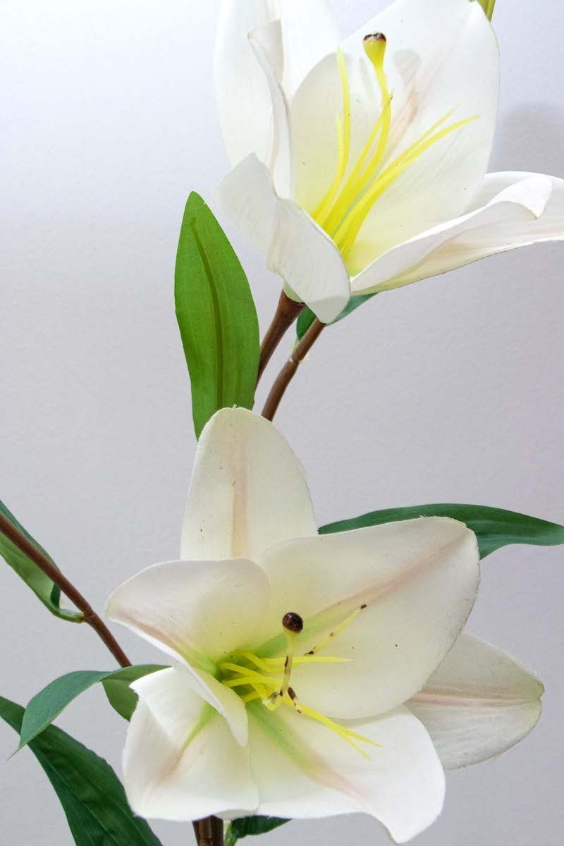Vara de Lily blanca 66cm altura