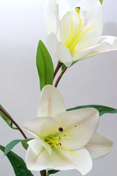 Vara de Lily blanca 66cm altura