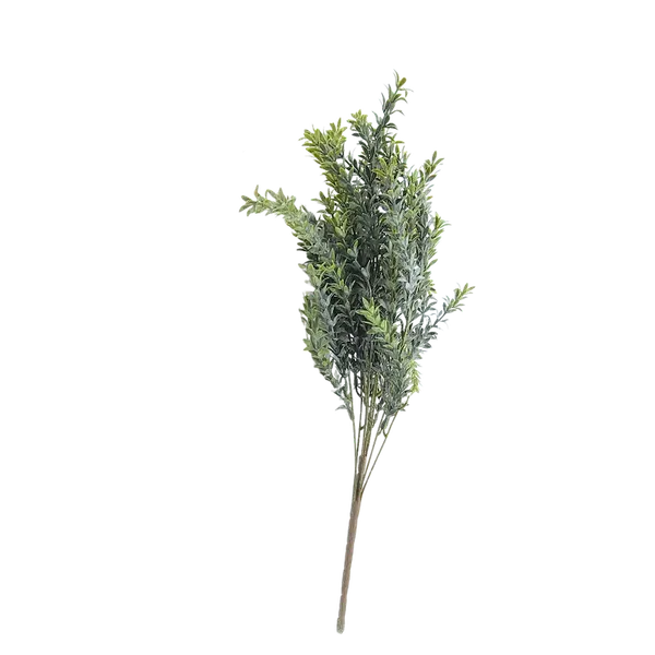 Follaje cachanilla talqueado 60cm