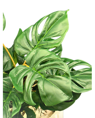 Plantita esqueleto 45cm