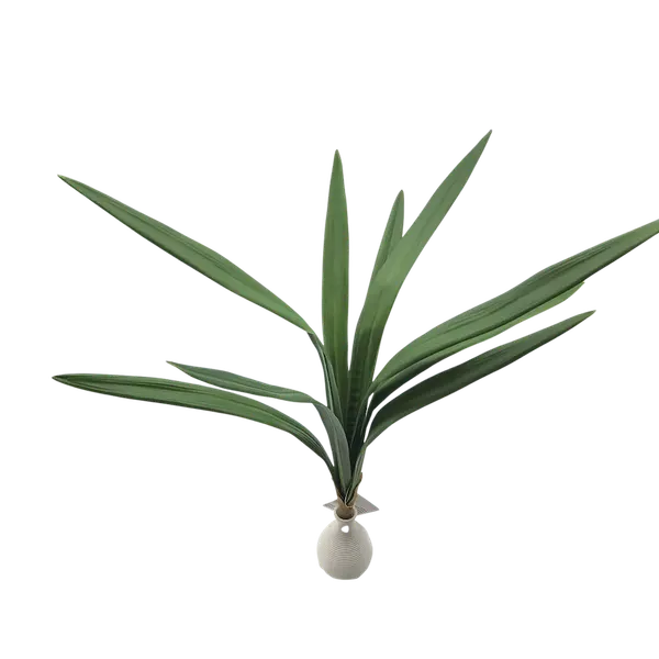 Cintilla 60 cm