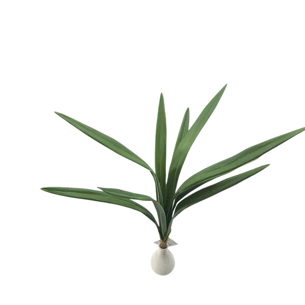 Cintilla 60 cm