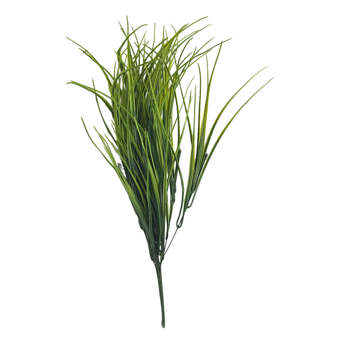 Zacatillo Lemongrass 56 cm
