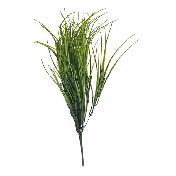 Zacatillo Lemongrass 56 cm