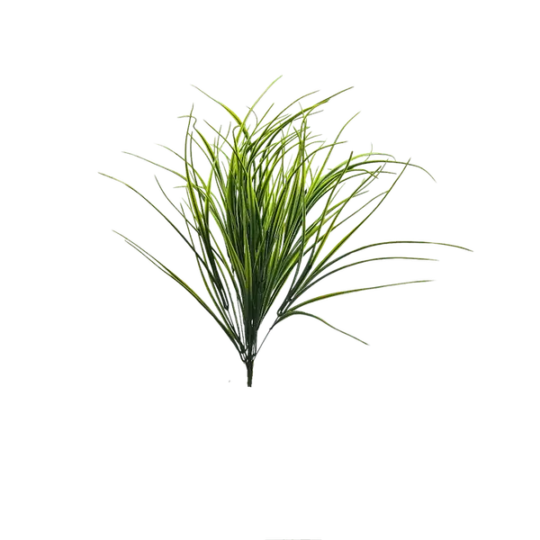 Zacatillo Lemongrass 56 cm