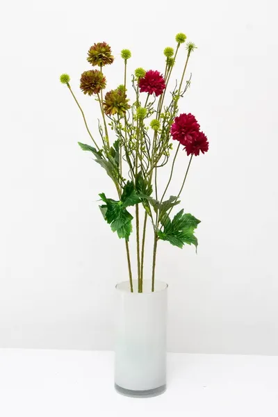 Vara de mini-dalia 61cm, varios colores.